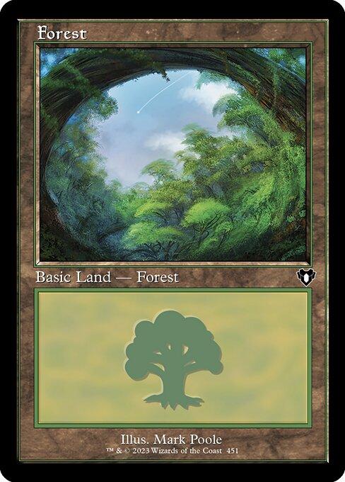 Forest (V.3)