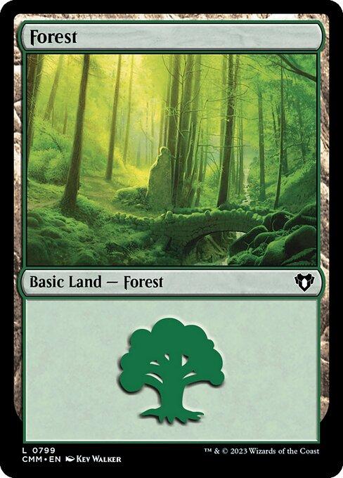 Forest (V.6)