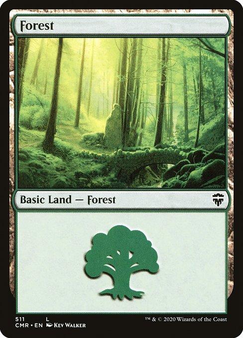 Forest (V.2)