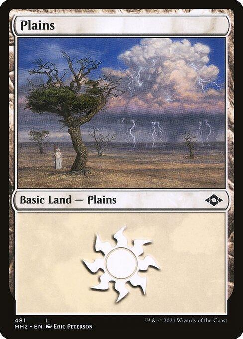 Plains (V.1)