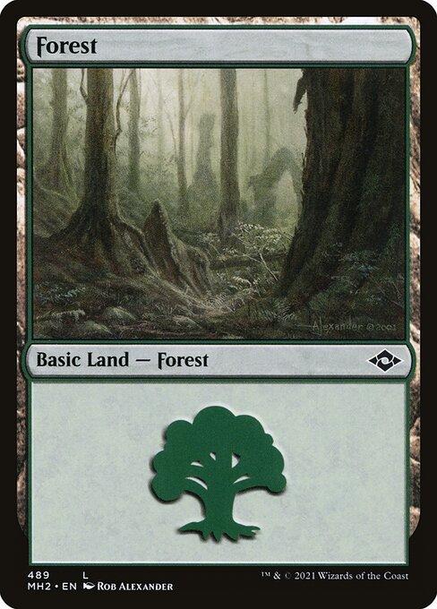 Forest (V.1)