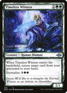 Timeless Witness