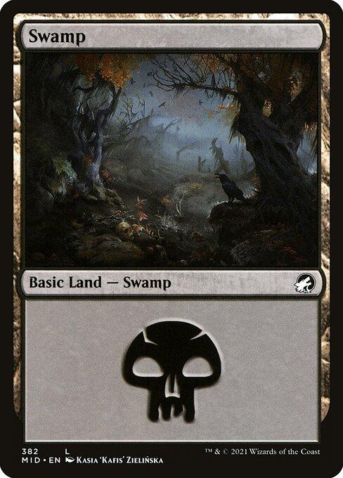 Swamp