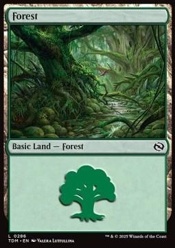 Forest (V.3)