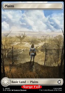 Plains (V.1)